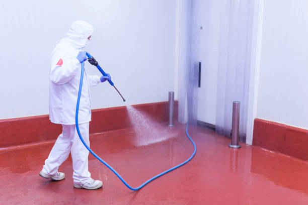 Boat and Dock Cleaning in Grand Bay, AL